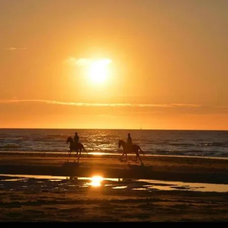 Near Belgian Coast With Garage Apartment De Haan